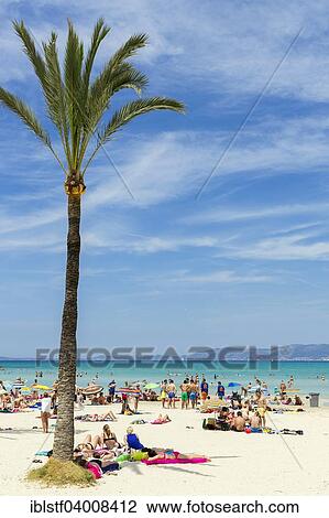 Full Plage Playa De Palma Baie De Palma Majorque îles Baléares Espagne Europe Banque Dimage