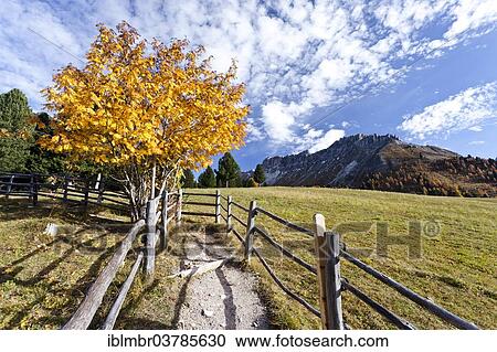 "Gampe meadows, behind the Kreuzjoch, Funes Valley, Eisacktal, Dolomites, South Tyrol, Italy, Europe" View Large Photo Image Stock Image - "Gampe meadows, behind the Kreuzjoch, Funes Valley, Eisacktal, Dolomites, South Tyrol, Italy, Europe". Fotosearch