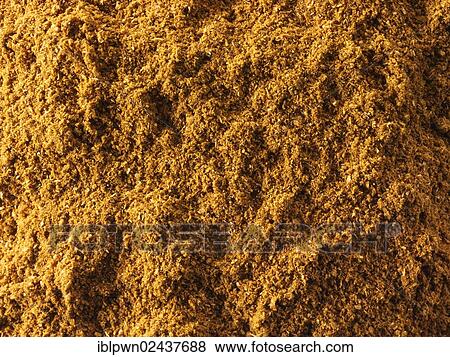 Garam Masala powder View Large Photo Image Stock Photo - Garam Masala powder. Fotosearch