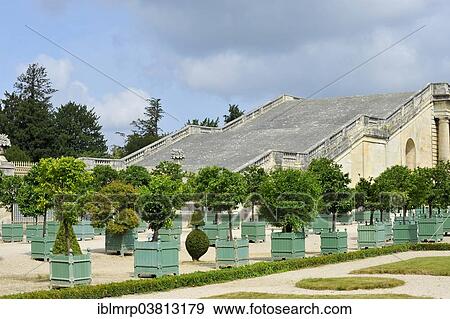 "Garden and park, Versailles Orangerie, Palace of Versailles, Ile-de-France, France, Europe" View Large Photo Image Stock Photo - "Garden and park, Versailles Orangerie, Palace of Versailles, Ile-de-France, France, Europe". Fotosearch