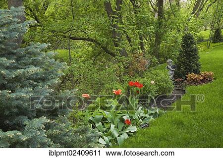 "Garden border with red tulips in a landscaped residential backyard garden in spring, Quebec, Canada - This image is property released for book, calendar, magazine, newspaper and editorial use only. " View Large Photo Image Stock Image - "Garden border with red tulips in a landscaped residential backyard garden in spring, Quebec, Canada - This image is property released for book, calendar, magazine, newspaper and editorial use only. ". Fotosearch