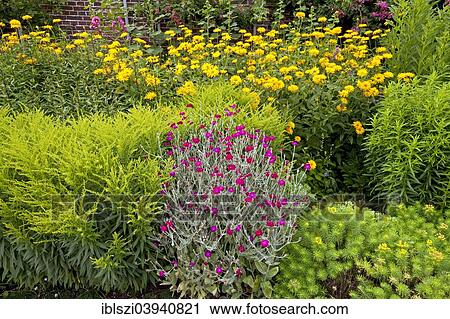 Garden Courtyard Wasserburg Haus Welbergen Moated Castle