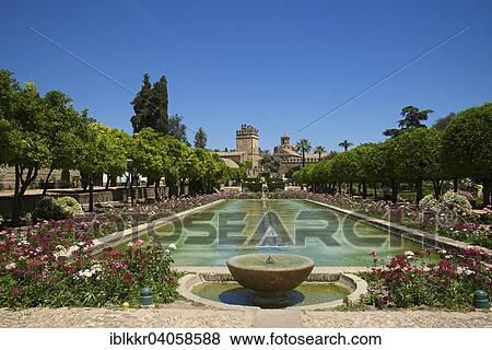 "Garden in the Alcazar de los Reyes Cristianos, Cordoba province, Andalucia, Spain, Europe" View Large Photo Image Stock Photo - "Garden in the Alcazar de los Reyes Cristianos, Cordoba province, Andalucia, Spain, Europe". Fotosearch