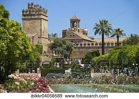 "Garden in the Alcazar de los Reyes Cristianos, Cordoba province, Andalucia, Spain, Europe" View Large Photo Image Stock Photo - "Garden in the Alcazar de los Reyes Cristianos, Cordoba province, Andalucia, Spain, Europe". Fotosearch