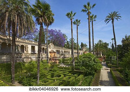 "Garden in the Alcazar of Seville, Seville, Andalucia, Spain, Europe" View Large Photo Image Stock Photograph - "Garden in the Alcazar of Seville, Seville, Andalucia, Spain, Europe". Fotosearch