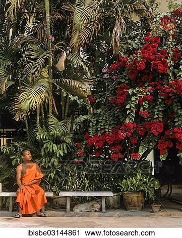 Stock Image - "Garden of Wat Phra Kaew Temple, monk sitting on a bench, Chiang Rai, Chiang Rai Province, Northern Thailand, Thailand, Asia". Fotosearch