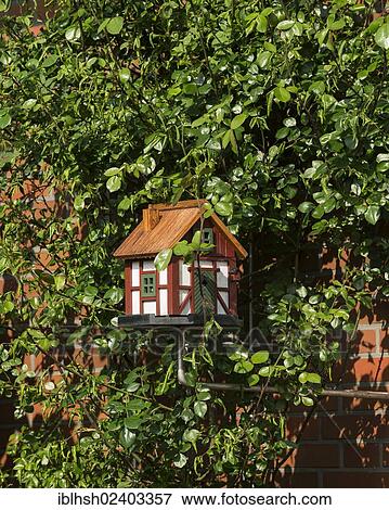 "Garden ornament, bird house in a rosebush trellis against a house wall, Lower Saxony, East Frisia, Germany, Europe" View Large Photo Image Stock Photo - "Garden ornament, bird house in a rosebush trellis against a house wall, Lower Saxony, East Frisia, Germany, Europe". Fotosearch