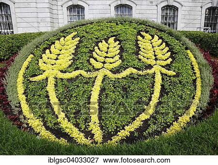 "Garden with plant display at the main entrance of the city hall, Montreal, Quebec Province, Canada, North America" View Large Photo Image Stock Photo - "Garden with plant display at the main entrance of the city hall, Montreal, Quebec Province, Canada, North America". Fotosearch