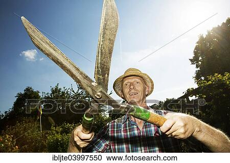 "Gardener, garden plot holder wearing a straw hat and hedge clippers, Cologne, North Rhine-Westphalia, Germany, Europe" View Large Photo Image Stock Image - "Gardener, garden plot holder wearing a straw hat and hedge clippers, Cologne, North Rhine-Westphalia, Germany, Europe". Fotosearch