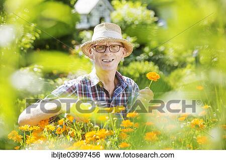 "Gardener, garden plot holder, wearing a straw hat, in a flower bed with calendulas, Cologne, North Rhine-Westphalia, Germany, Europe" View Large Photo Image Stock Photograph - "Gardener, garden plot holder, wearing a straw hat, in a flower bed with calendulas, Cologne, North Rhine-Westphalia, Germany, Europe". Fotosearch
