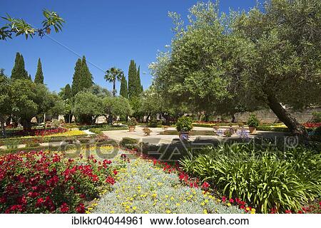 "Gardens in the Alcazar de Jerez, Jerez de la Frontera, Andalusia, Spain, Europe" View Large Photo Image Stock Image - "Gardens in the Alcazar de Jerez, Jerez de la Frontera, Andalusia, Spain, Europe". Fotosearch
