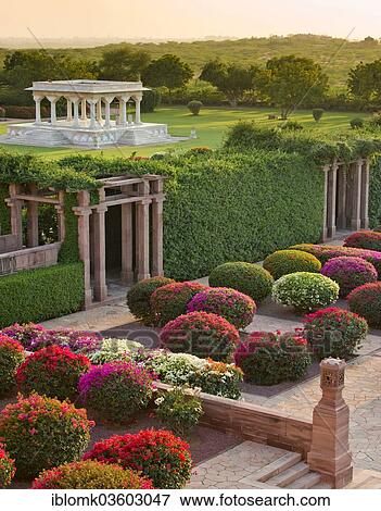 Stock Photo - "Gardens with colourful bougainvillea bushes, Palace Hotel, Umaid Bhawan Palace, Jodhpur, Rajasthan, India, Asia". Fotosearch
