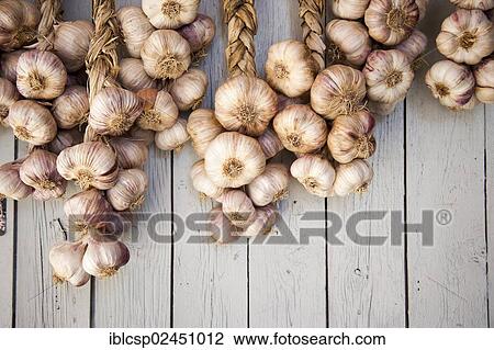 "Garlic braids, in Sault, Provence, France, Europe" View Large Photo Image Stock Image - "Garlic braids, in Sault, Provence, France, Europe". Fotosearch