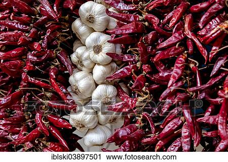 "Garlic bulbs and paprika, peppers, Hungary, Europe" View Large Photo Image Stock Image - "Garlic bulbs and paprika, peppers, Hungary, Europe". Fotosearch