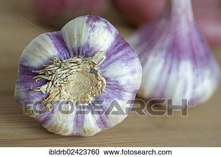 Garlic bulbs View Large Photo Image Stock Image - Garlic bulbs. Fotosearch