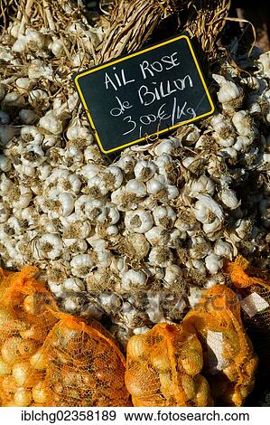 Stock Photo - "Garlic from Billom, Puy de Dome, Auvergne, France, Europe". Fotosearch