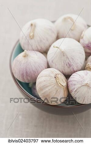 Stock Photo - Garlic in a bowl. Fotosearch