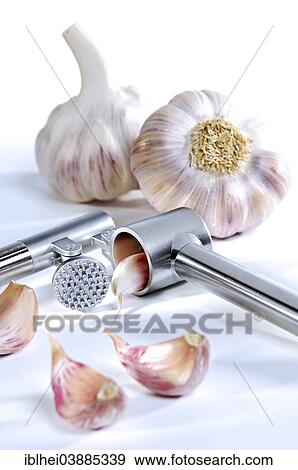Garlic with a garlic press View Large Photo Image Stock Photo - Garlic with a garlic press. Fotosearch