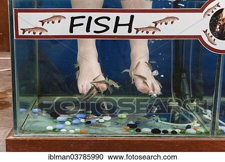 "Garra Rufa fish therapy, Sultaniye Thermal Baths at Lake Koycegiz or Koycegiz Golu near Dalyan, Mugla Province, Turkish Riviera or Turquoise Coast, Aegean, Turkey, Asia" View Large Photo Image Stock Image - "Garra Rufa fish therapy, Sultaniye Thermal Baths at Lake Koycegiz or Koycegiz Golu near Dalyan, Mugla Province, Turkish Riviera or Turquoise Coast, Aegean, Turkey, Asia". Fotosearch