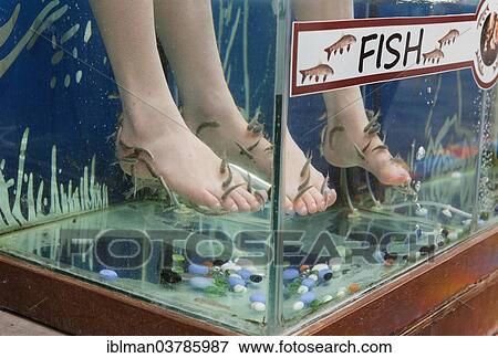 "Garra Rufa fish therapy, Sultaniye Thermal Baths at Lake Koycegiz or Koycegiz Golu near Dalyan, Mugla Province, Turkish Riviera or Turquoise Coast, Aegean, Turkey, Asia" View Large Photo Image Stock Photo - "Garra Rufa fish therapy, Sultaniye Thermal Baths at Lake Koycegiz or Koycegiz Golu near Dalyan, Mugla Province, Turkish Riviera or Turquoise Coast, Aegean, Turkey, Asia". Fotosearch