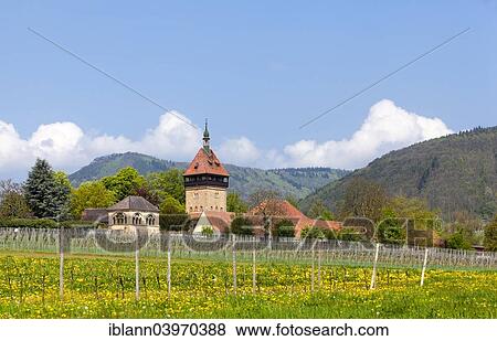 "Geilweilerhof Institute for Grape Breeding, Siebeldingen, German Wine Route, Southern Wine Route, Palatinate, Rhineland-Palatinate, Germany, Europe" View Large Photo Image Stock Photo - "Geilweilerhof Institute for Grape Breeding, Siebeldingen, German Wine Route, Southern Wine Route, Palatinate, Rhineland-Palatinate, Germany, Europe". Fotosearch