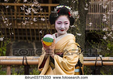 "Geisha in front of a blossoming cherry tree in the Geisha quarter Gion, Kyoto, Japan, Asia" View Large Photo Image Stock Image - "Geisha in front of a blossoming cherry tree in the Geisha quarter Gion, Kyoto, Japan, Asia". Fotosearch
