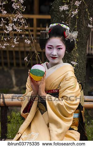 "Geisha in front of a blossoming cherry tree in the Geisha quarter Gion, Kyoto, Japan, Asia" View Large Photo Image Stock Photography - "Geisha in front of a blossoming cherry tree in the Geisha quarter Gion, Kyoto, Japan, Asia". Fotosearch