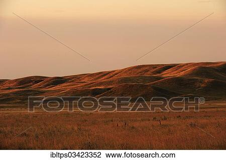 "Gentle rolling hills of the prairie, Grasslands National Park, Saskatchewan Province, Canada, North America" View Large Photo Image Stock Image - "Gentle rolling hills of the prairie, Grasslands National Park, Saskatchewan Province, Canada, North America". Fotosearch