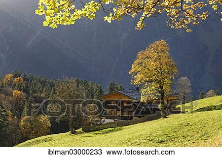 "Gerstruben in autumn, Allgaeu Alps, Oberstdorf, Oberallgau, Allgau, Swabia, Bavaria, Germany, Europe" View Large Photo Image Stock Image - "Gerstruben in autumn, Allgaeu Alps, Oberstdorf, Oberallgau, Allgau, Swabia, Bavaria, Germany, Europe". Fotosearch