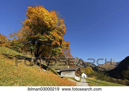 Stock Photo - "Gerstruben in autumn, Allgaeu Alps, Oberstdorf, Oberallgau, Allgau, Swabia, Bavaria, Germany, Europe". Fotosearch