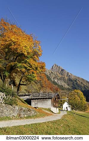 Picture - "Gerstruben with Hoefats mountain in autumn, Allgaeu Alps, Oberstdorf, Oberallgau, Allgau, Swabia, Bavaria, Germany, Europe". Fotosearch
