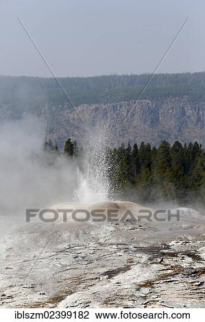 "Geyser erupting at the Lion Formation, Upper Geyser Basin, Yellowstone National Park, Wyoming, USA" View Large Photo Image Stock Image - "Geyser erupting at the Lion Formation, Upper Geyser Basin, Yellowstone National Park, Wyoming, USA". Fotosearch