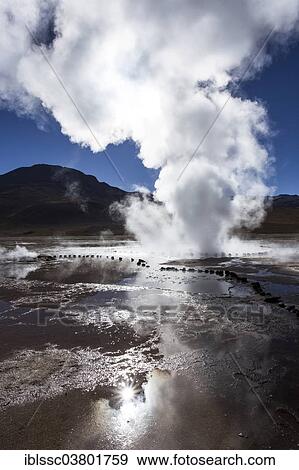 Stock Photo - "Geysers of El Tatio, Andes, Atacama Desert, Northern Chile, Chile, South America". Fotosearch