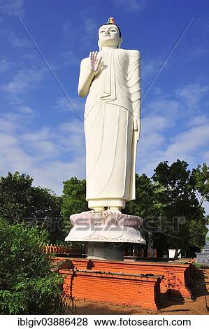 "Giant Buddha statue in front of a monastery, near Sigiriya, Central Province, Sri Lanka, Asia" View Large Photo Image Stock Photo - "Giant Buddha statue in front of a monastery, near Sigiriya, Central Province, Sri Lanka, Asia". Fotosearch