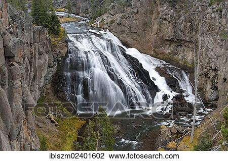 "Gibbon Falls, Yellowstone National Park, Wyoming, USA" View Large Photo Image Stock Image - "Gibbon Falls, Yellowstone National Park, Wyoming, USA". Fotosearch