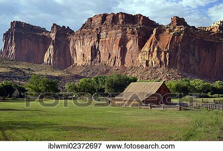 "Gifford Farm House Museum, Castle Rock at the back, Fruita, Capitol Reef National Park, Utah, USA, PublicGround" View Large Photo Image Stock Photo - "Gifford Farm House Museum, Castle Rock at the back, Fruita, Capitol Reef National Park, Utah, USA, PublicGround". Fotosearch