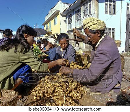 "Ginger seller at a market, Taunggyi, Shan State, Myanmar, Burma, Asia" View Large Photo Image Stock Photo - "Ginger seller at a market, Taunggyi, Shan State, Myanmar, Burma, Asia". Fotosearch