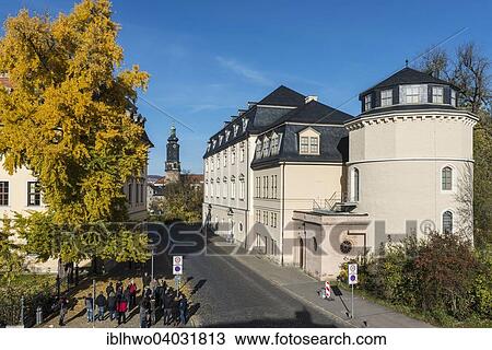 "Ginkgo tree in autumn colors, planted by Goethe, right Duchess Anna Amalia library with library tower, Weimar, Thuringia, Germany, Europe" View Large Photo Image Stock Image - "Ginkgo tree in autumn colors, planted by Goethe, right Duchess Anna Amalia library with library tower, Weimar, Thuringia, Germany, Europe". Fotosearch