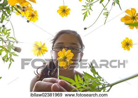 "Girl, 11 years, smelling flowers" View Large Photo Image Stock Photo - "Girl, 11 years, smelling flowers". Fotosearch