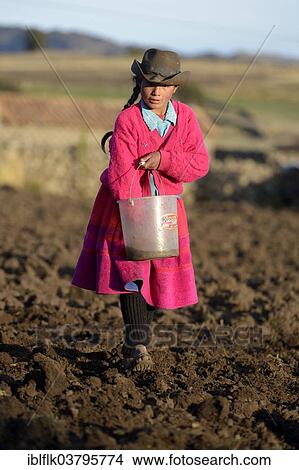 "Girl, 12 years, sowing in the field, Puncupata, Quispillaccta, Ayacucho, Peru, South America" View Large Photo Image Picture - "Girl, 12 years, sowing in the field, Puncupata, Quispillaccta, Ayacucho, Peru, South America". Fotosearch