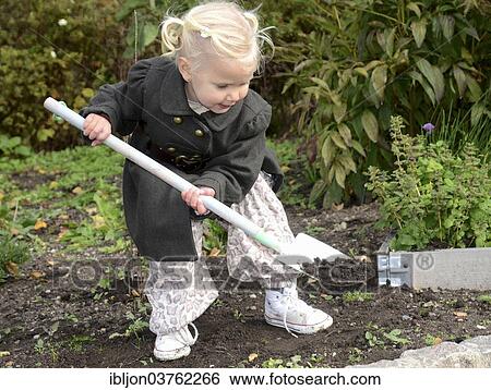 "Girl, 2 years, working with a spade in the garden, Ystad, Scania, Sweden, Europe" View Large Photo Image Stock Photograph - "Girl, 2 years, working with a spade in the garden, Ystad, Scania, Sweden, Europe". Fotosearch
