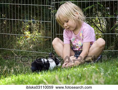 "Girl, 4 years, playing with rabbit, Germany, Europe" View Large Photo Image Stock Photo - "Girl, 4 years, playing with rabbit, Germany, Europe". Fotosearch