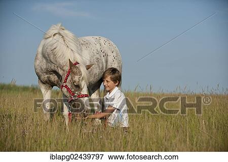 Girl and a pony in a meadow View Large Photo Image Stock Photo - Girl and a pony in a meadow. Fotosearch