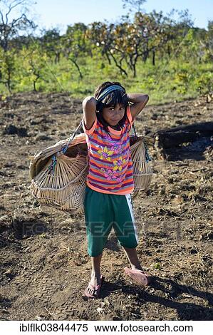 "Girl carrying her little sister in a traditional basket on her back, village of the Xavantes people, Nova Vida near the mission of Sangradouro, Primavera do Leste, Mato Grosso, Brazil, South America" View Large Photo Image Stock Photography - "Girl carrying her little sister in a traditional basket on her back, village of the Xavantes people, Nova Vida near the mission of Sangradouro, Primavera do Leste, Mato Grosso, Brazil, South America". Fotosearch