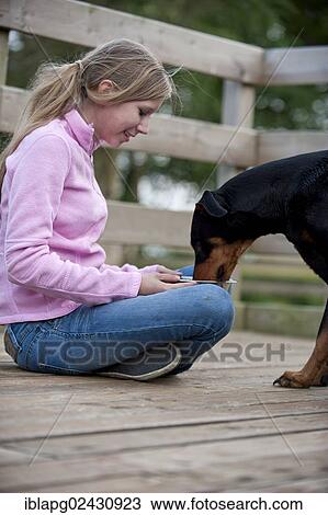 Girl feeding a Doberman View Large Photo Image Stock Image - Girl feeding a Doberman. Fotosearch