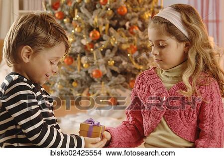 Girl giving a boy a Christmas gift in front of a Christmas tree View Large Photo Image Picture - Girl giving a boy a Christmas gift in front of a Christmas tree. Fotosearch