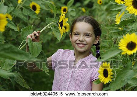 Girl in a sunflower field View Large Photo Image Stock Photography - Girl in a sunflower field. Fotosearch