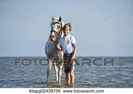"Girl leading a pony through the water, St. Peter-Ording, Schleswig-Holstein, Germany, Europe" View Large Photo Image Stock Photograph - "Girl leading a pony through the water, St. Peter-Ording, Schleswig-Holstein, Germany, Europe". Fotosearch
