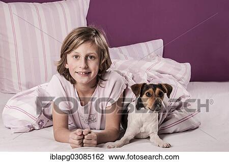 Girl lying in bed with a Danish Swedish Farmdog View Large Photo Image Stock Image - Girl lying in bed with a Danish Swedish Farmdog. Fotosearch