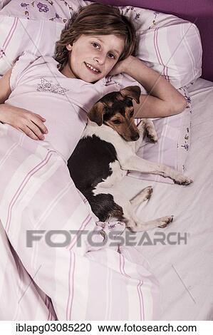 Stock Image - Girl lying in bed with a Danish Swedish Farmdog. Fotosearch